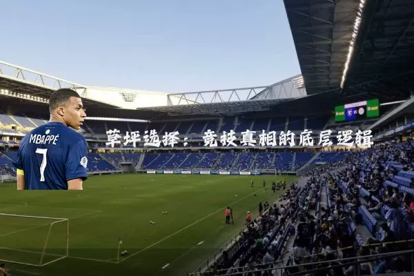 草坪选择：竞技真相的底层逻辑